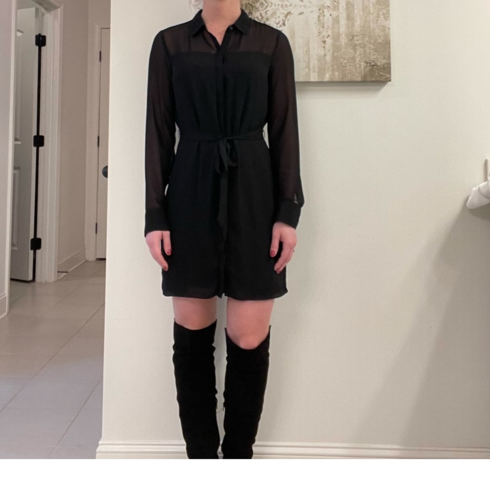 *Donating 6/6*NWOT* Sheer button up dress